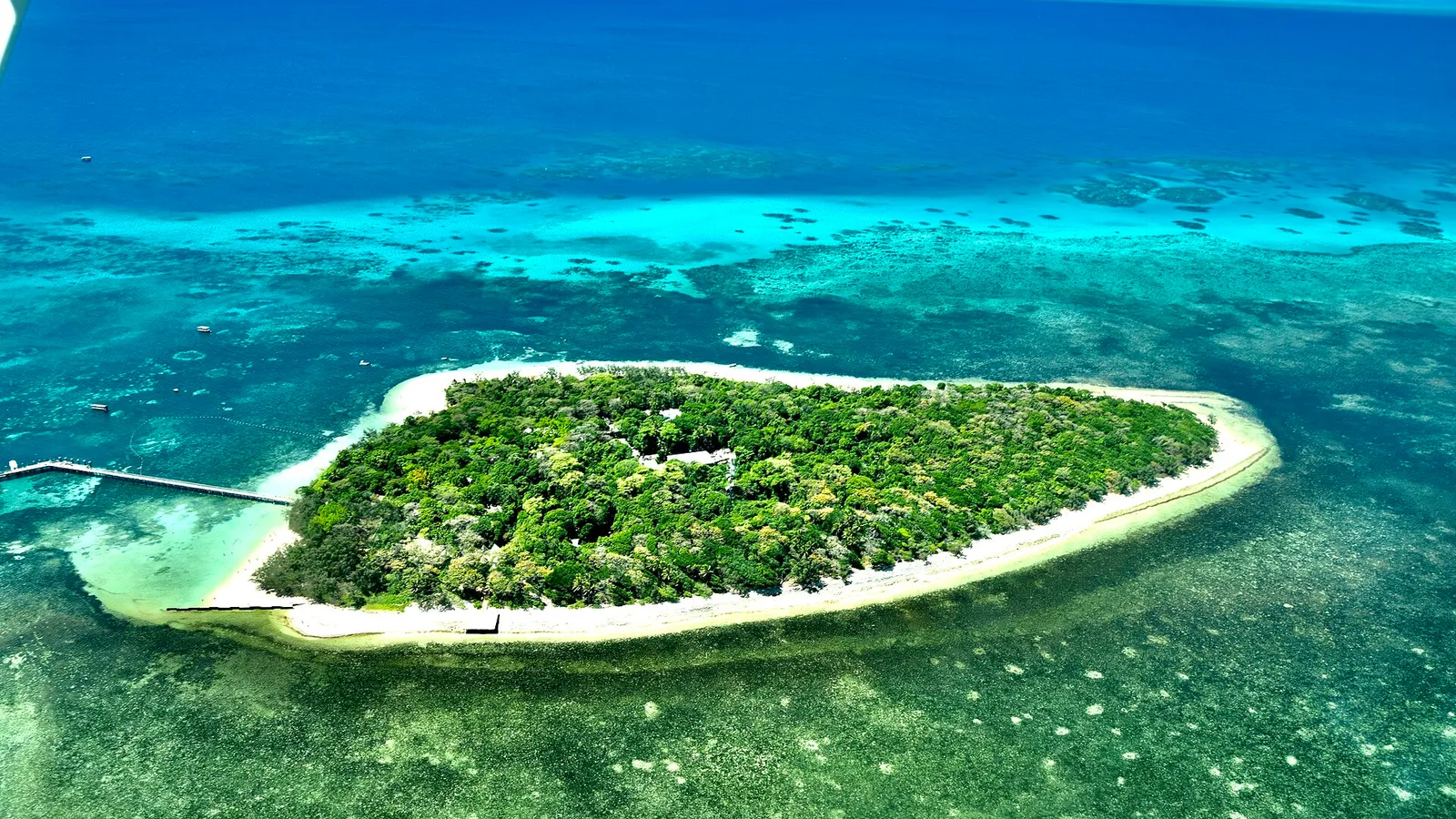 Great Barrier Reef Travel — detail