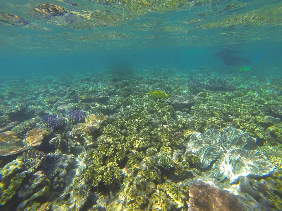 Great Barrier Reef Travel