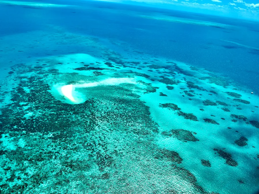 Great Barrier Reef Travel — detail