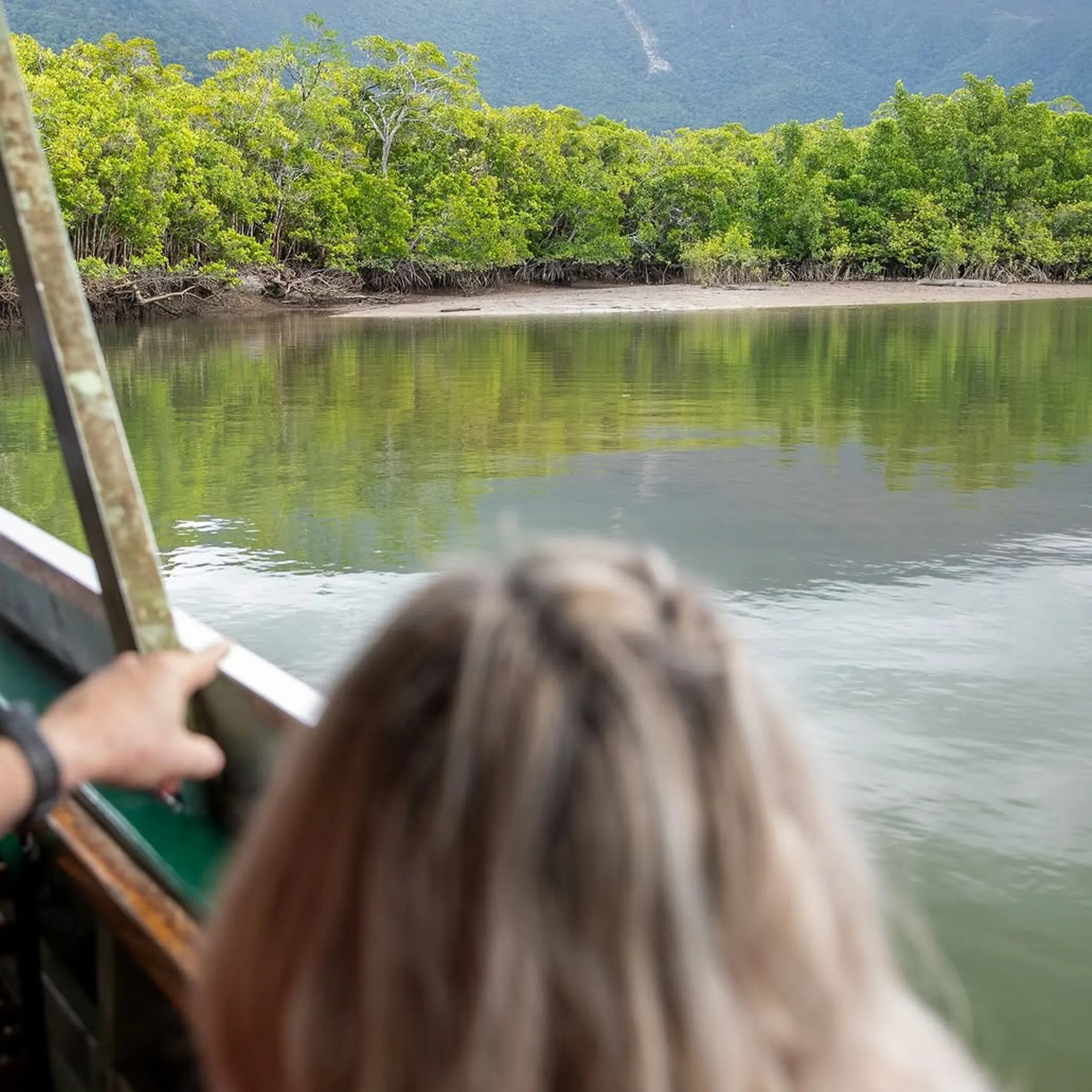 boat cruise through mangroves
