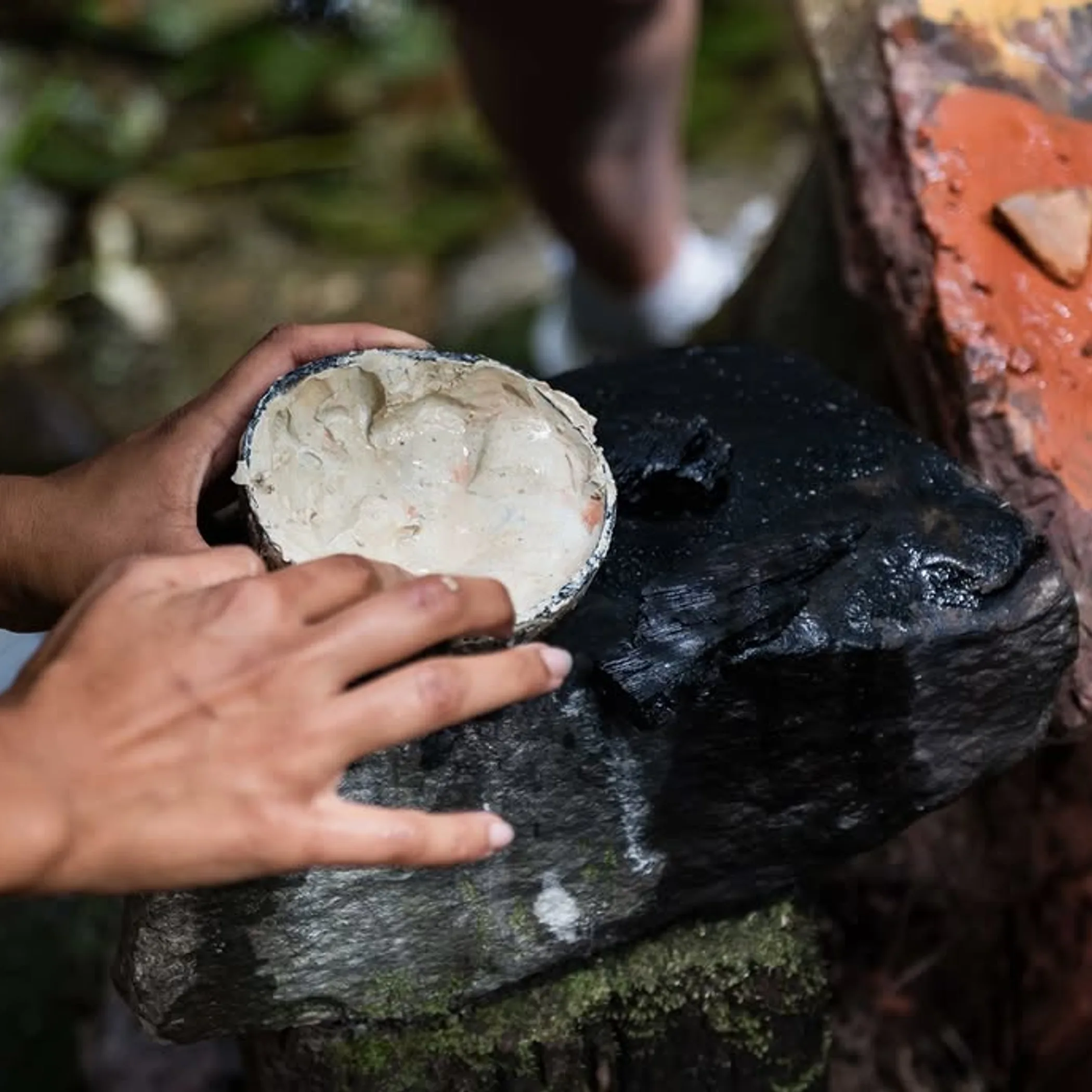 food preparation in rainforest setting