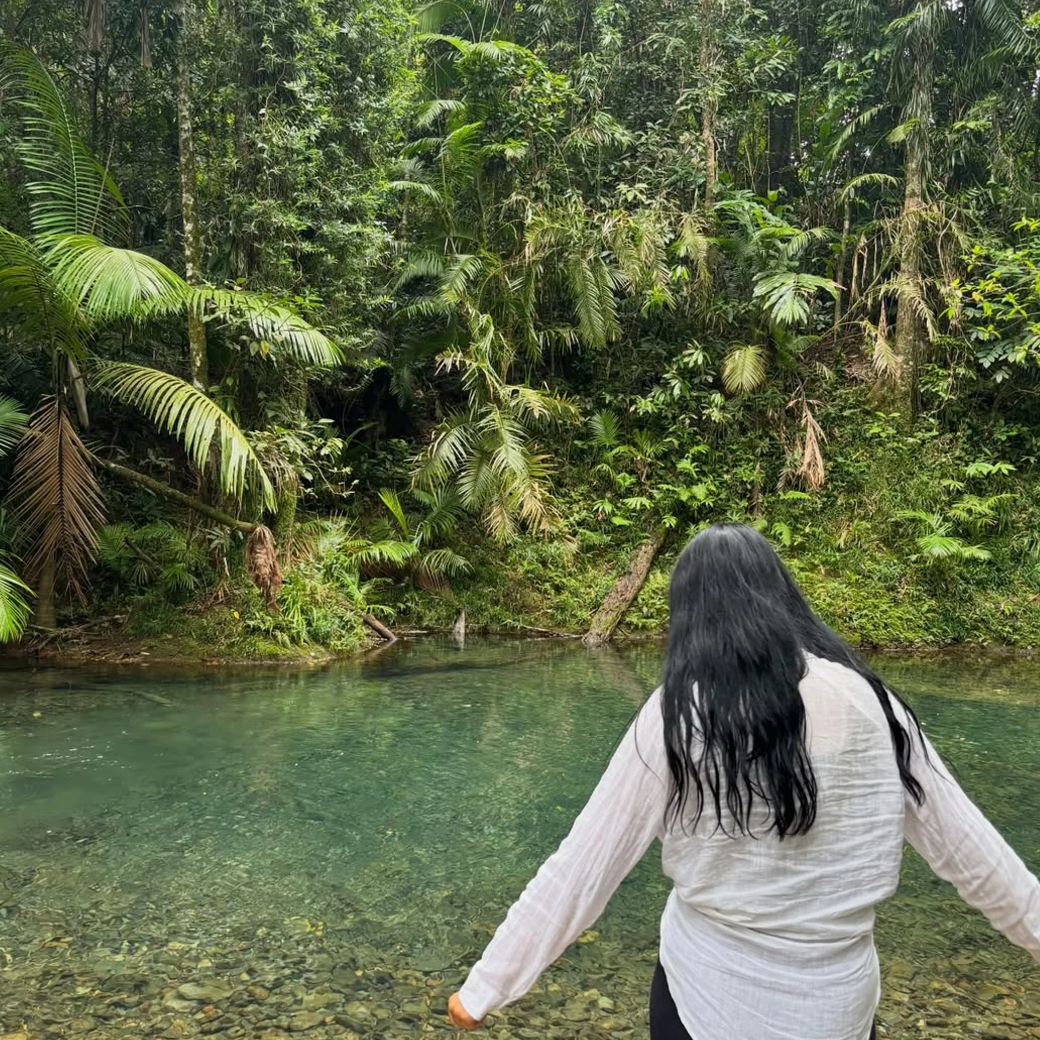 visitor beside tropical rainforest waterway
