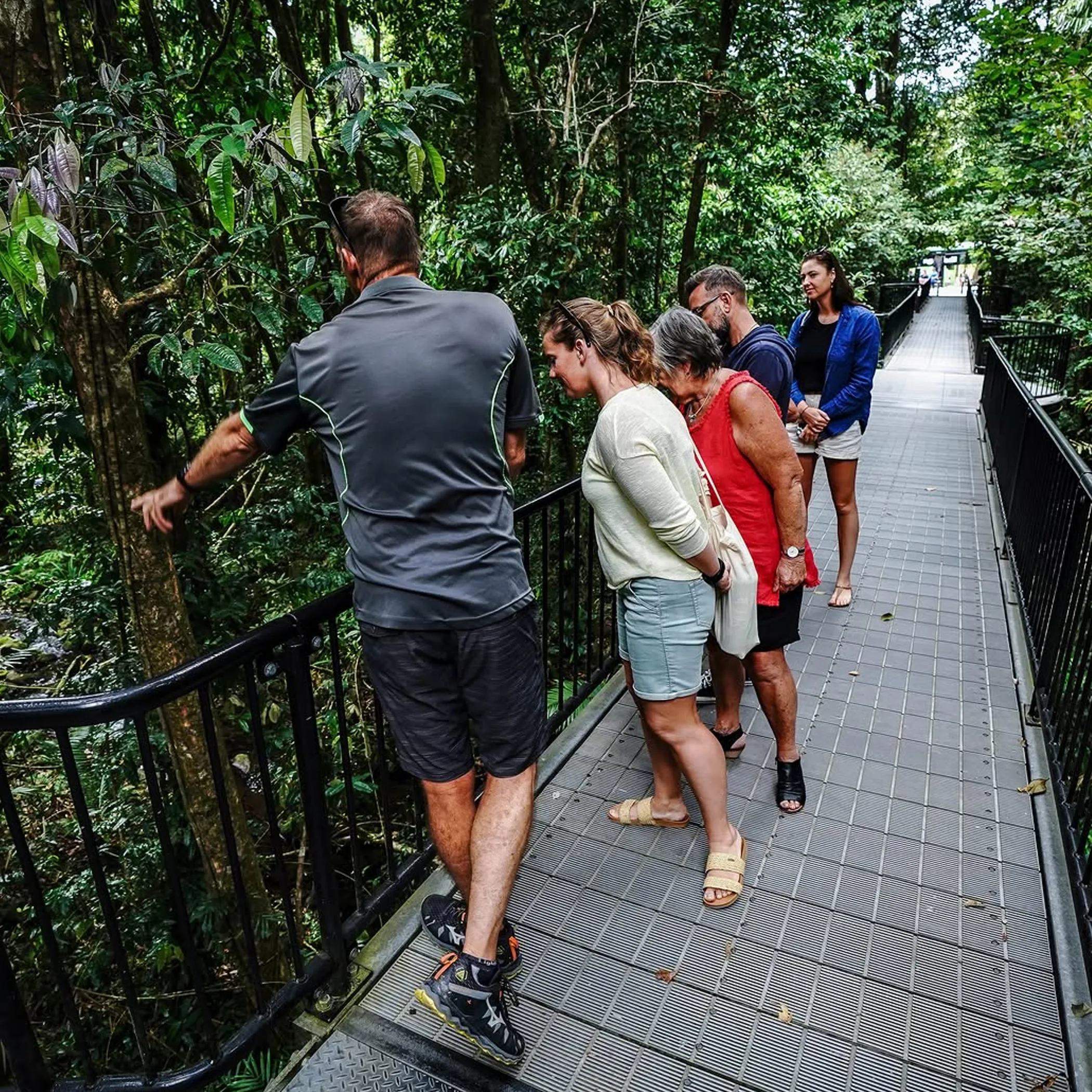 visitors exploring tropical rainforest walkway